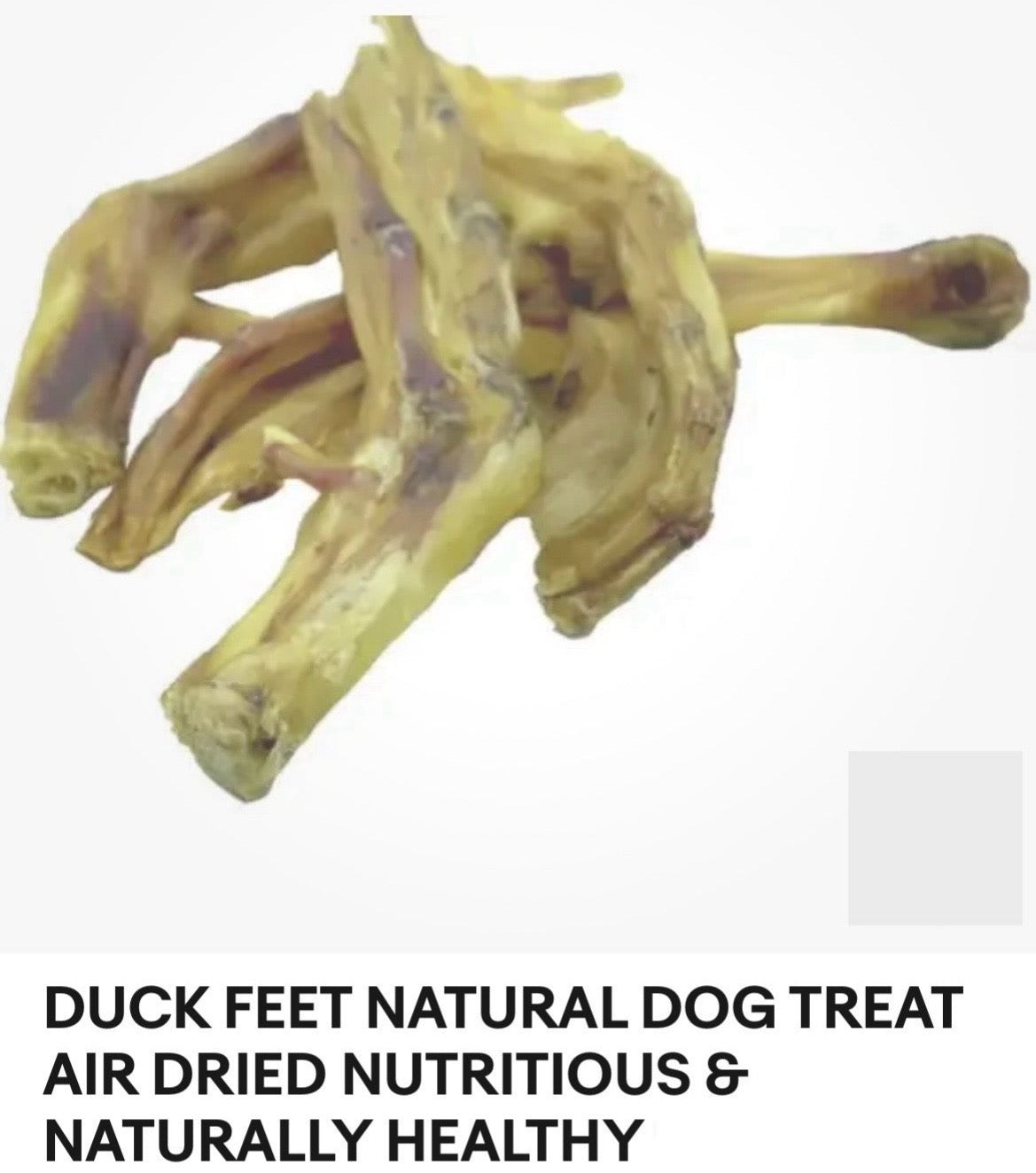 DUCK FEET NATURAL DOG TREAT AIR DRIED NUTRITIOUS & NATURALLY HEALTHY x 5