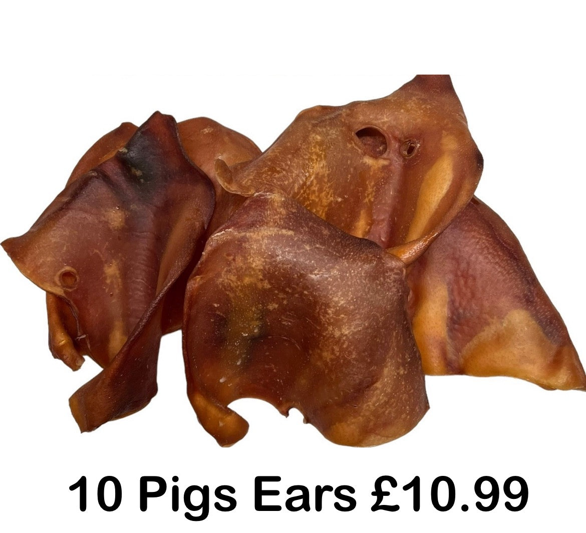 Pigs Ears For Dogs Pack Of 10