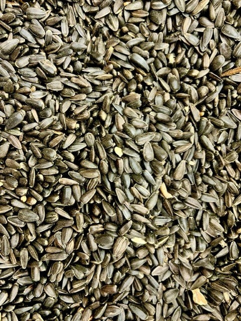 Black Sunflower Seeds