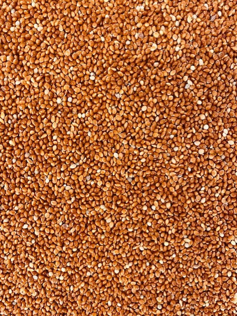 RED MILLET SEED FOR BIRDS