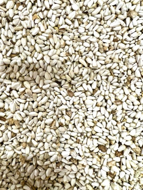 SAFFLOWER SEEDS FOR BIRDS