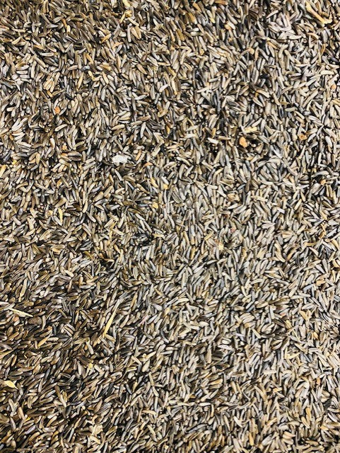 NIGER SEED FOR BIRDS