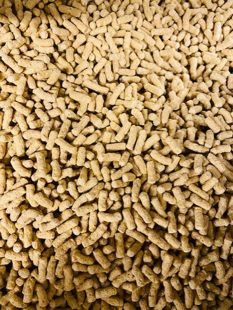 TETRA POND FISH FOOD STICKS