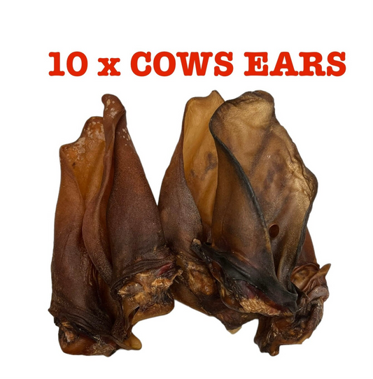 Cows Ears for Dogs Pack of 10