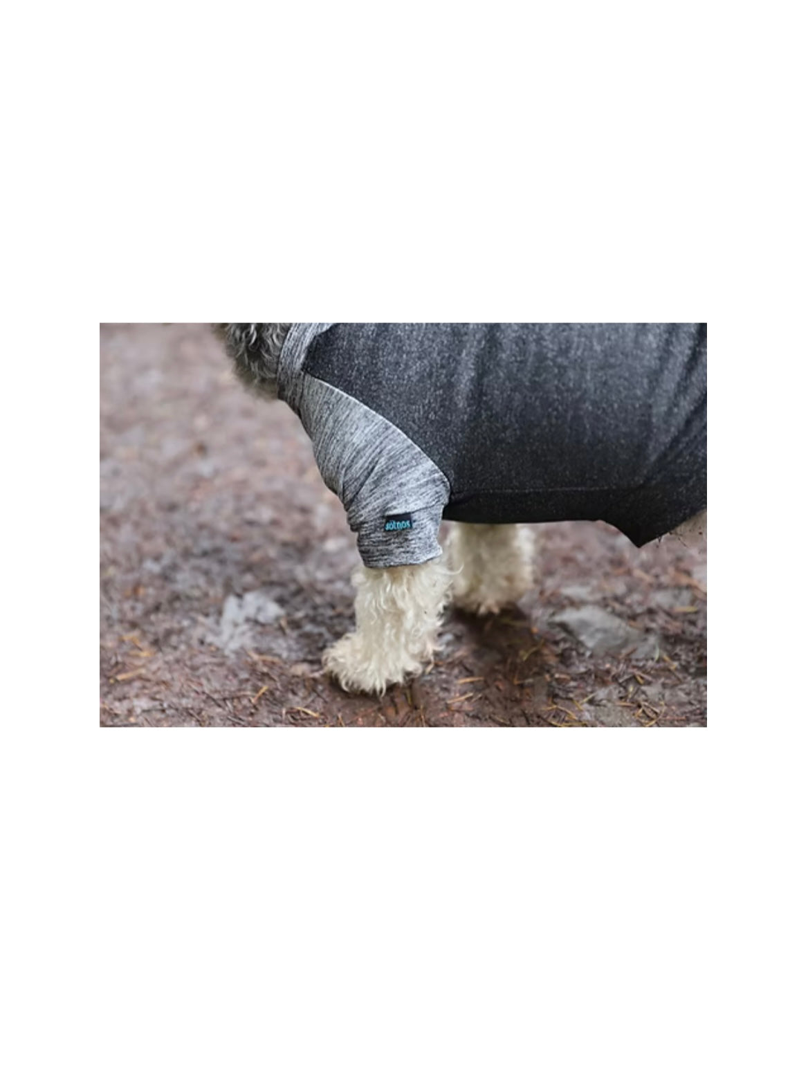 Breathable Lightweight Dog T-Shirts Active Wear