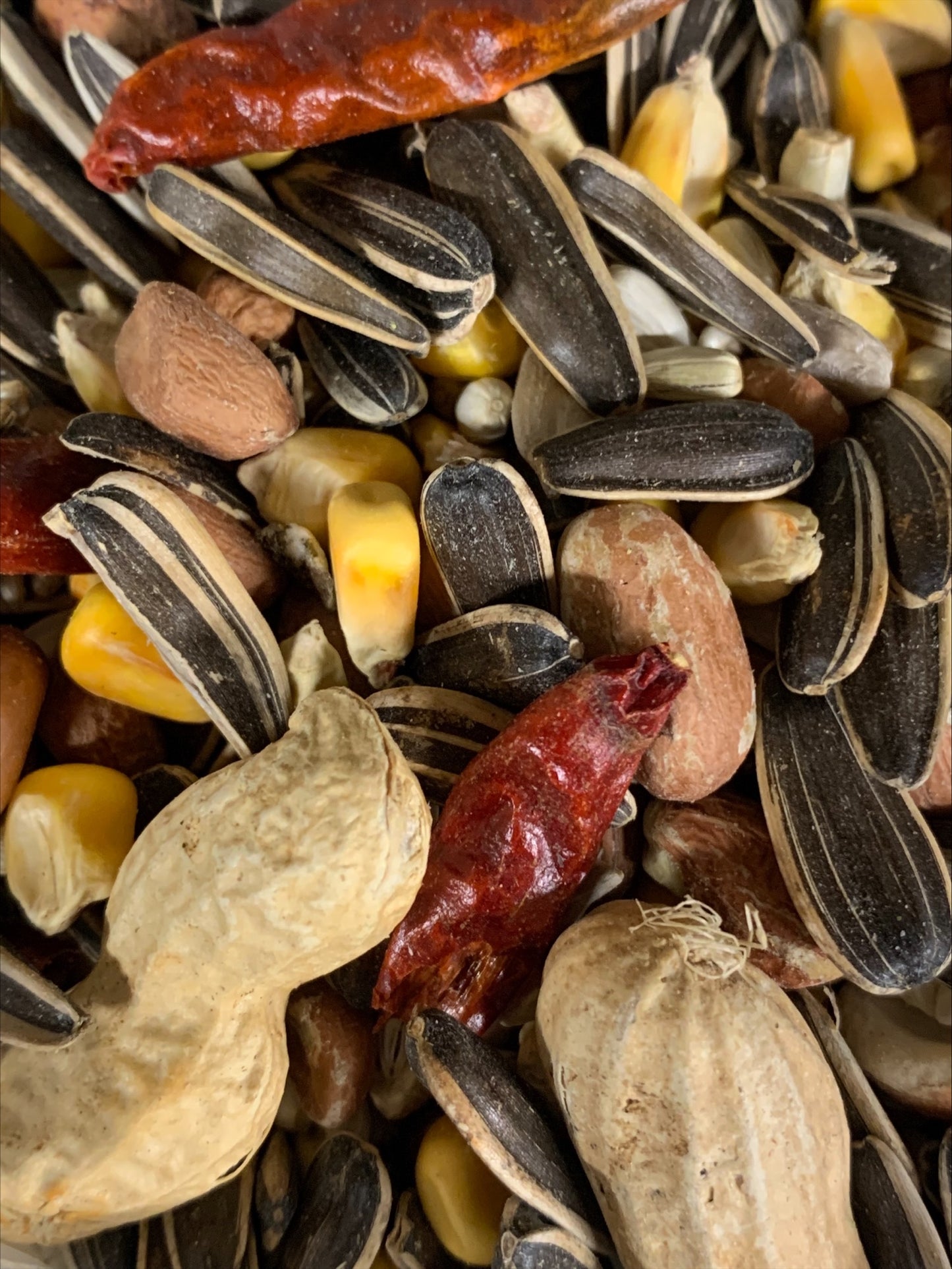 SKY GOLD STANDARD PARROT MIX