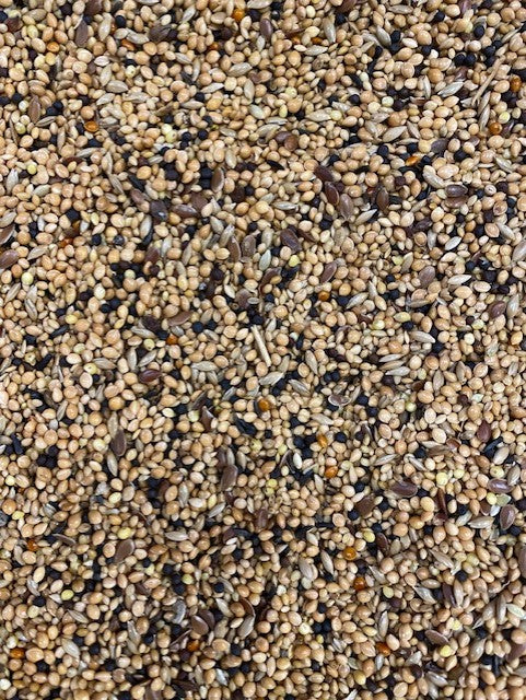 SKY GOLD GOURMET CANARY MIX