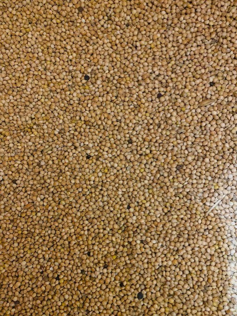 MIXED YELLOW & WHITE MILLET